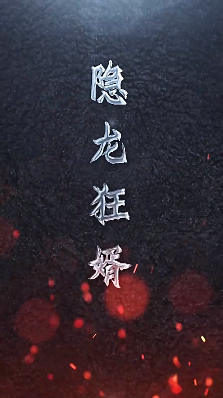 隐龙狂婿第30集